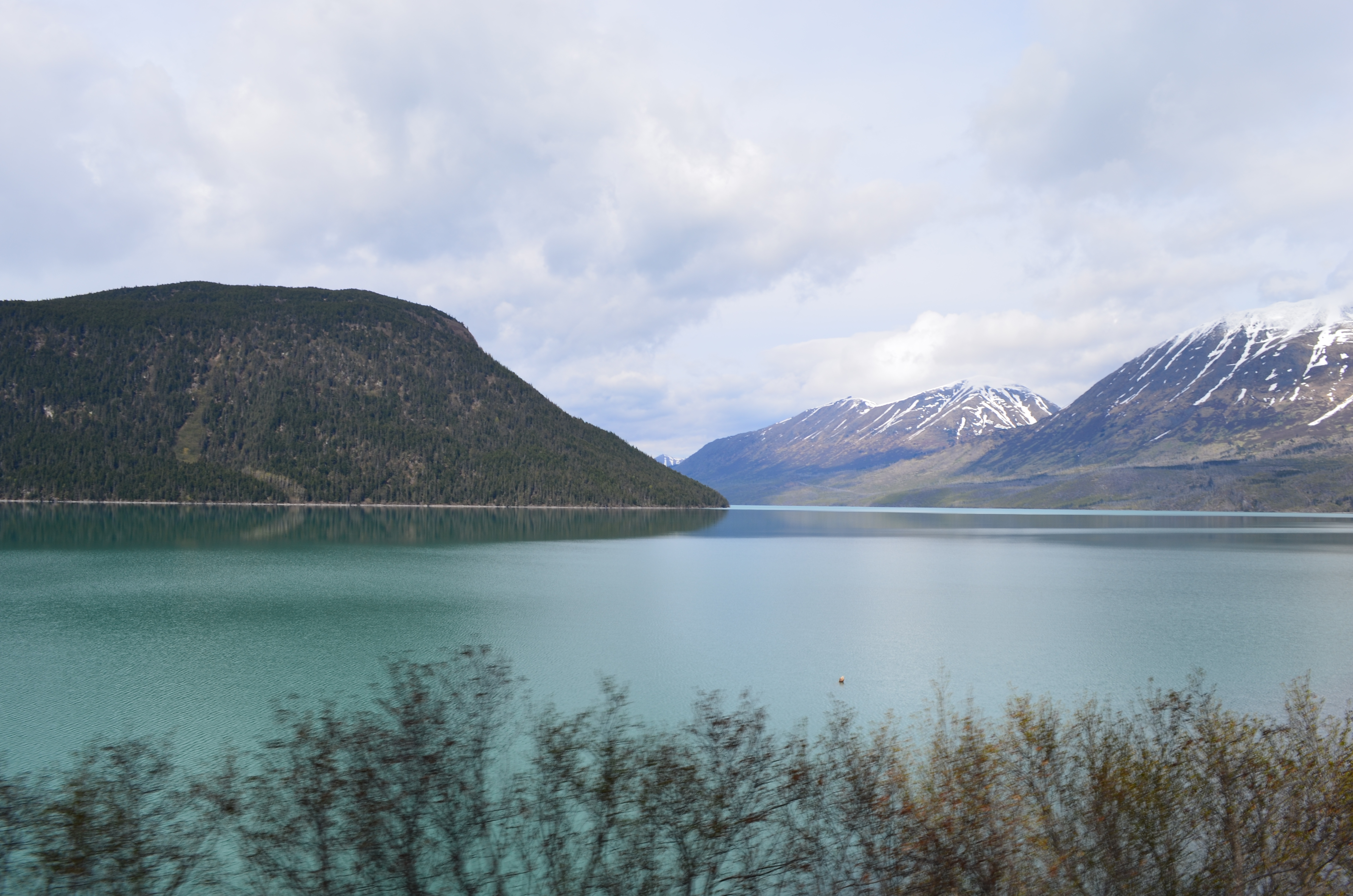 ./2017/08 - Alaska Cruise/05 - Train to Seward/DSC_0579.JPG